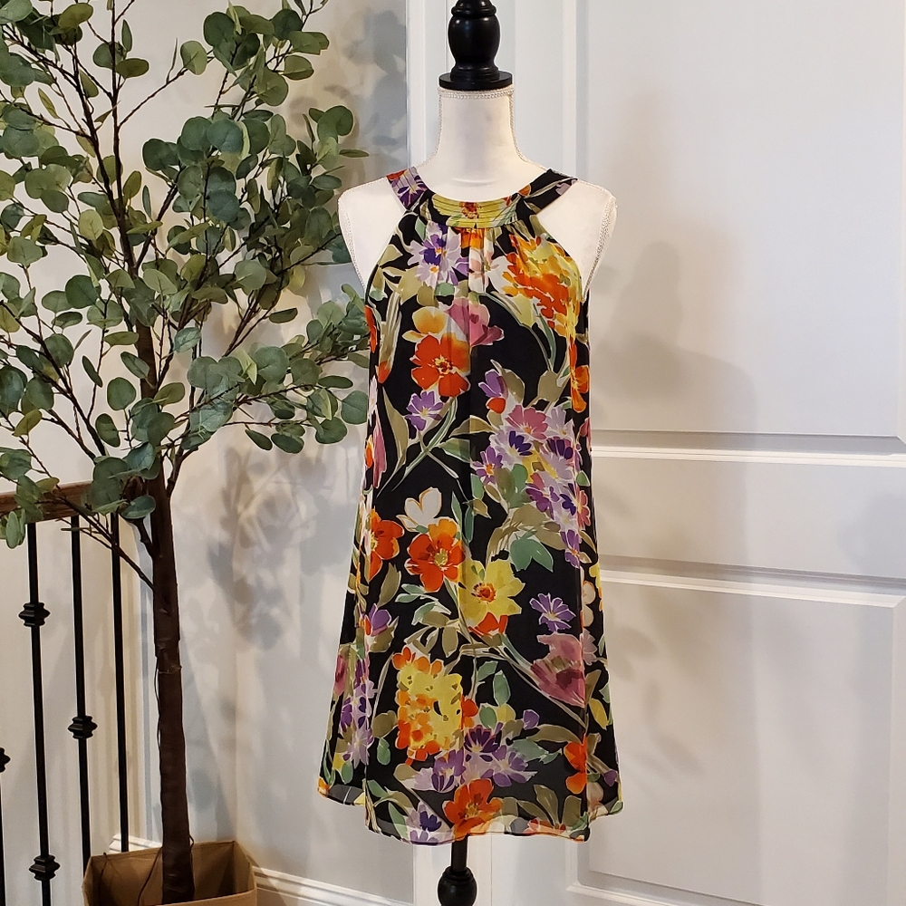 Eliza J Silk Chiffon Dress